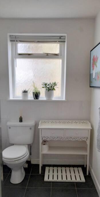 The Flower House, Idyllic Cornish Retreat. Lejlighed Saint Erth Eksteriør billede