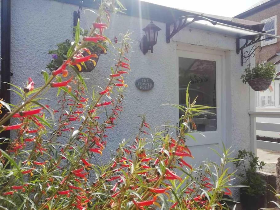 The Flower House, Idyllic Cornish Retreat. Lejlighed Saint Erth Eksteriør billede